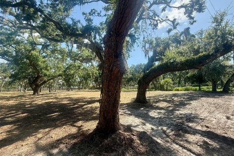 Terreno en venta en Sarasota, Florida № 1795718 - foto 10