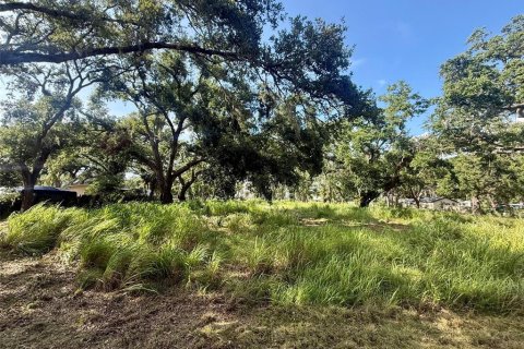 Terreno en venta en Sarasota, Florida № 1795718 - foto 6