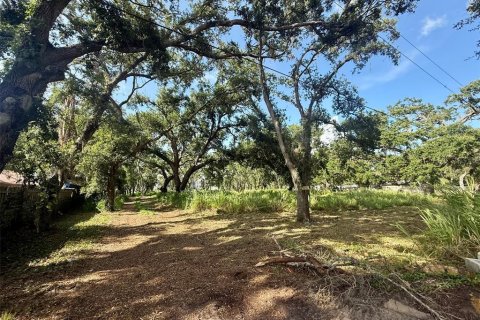 Terreno en venta en Sarasota, Florida № 1795718 - foto 1