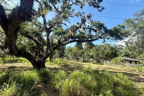 Terreno en venta en Sarasota, Florida № 1795718 - foto 4
