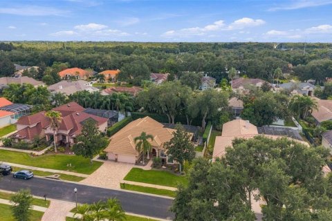 Villa ou maison à vendre à Palm Harbor, Floride: 3 chambres, 290.51 m2 № 2430745 - photo 3