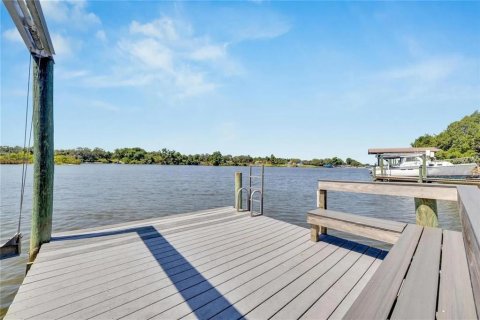 House in Riverview, Florida 3 bedrooms, 278.8 sq.m. № 2202928 - photo 12