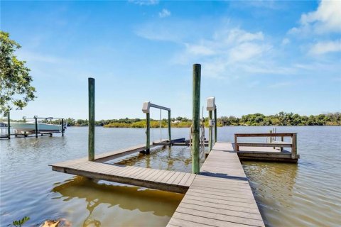 House in Riverview, Florida 3 bedrooms, 278.8 sq.m. № 2202928 - photo 11