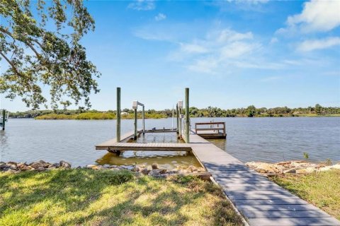 House in Riverview, Florida 3 bedrooms, 278.8 sq.m. № 2202928 - photo 2