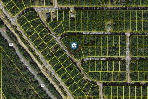 Land in Dunnellon, Florida № 2163453 - photo 2