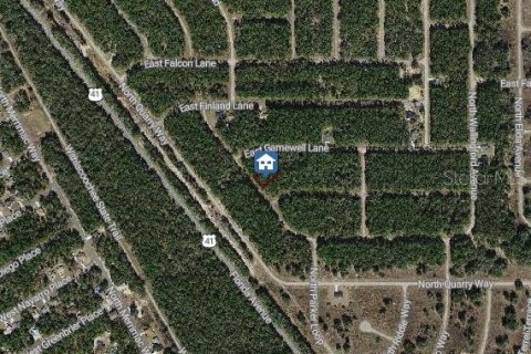 Land in Dunnellon, Florida № 2163453 - photo 3