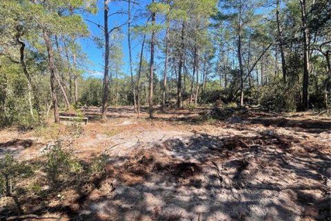 Terreno en venta en Eustis, Florida № 838525 - foto 6
