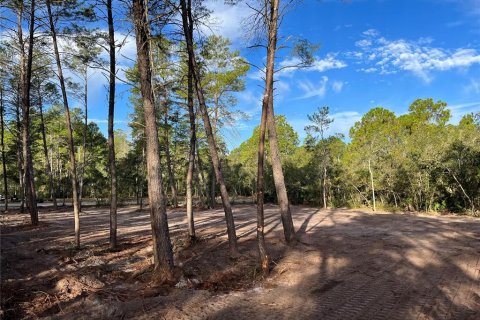 Terreno en venta en Eustis, Florida № 838525 - foto 2