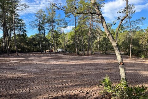 Terreno en venta en Eustis, Florida № 838525 - foto 5