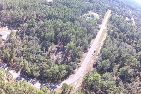 Terreno en venta en Eustis, Florida № 838525 - foto 3