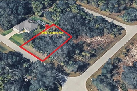 Land in Port Charlotte, Florida № 2161400