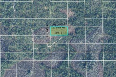 Land in Orlando, Florida № 2163605 - photo 2