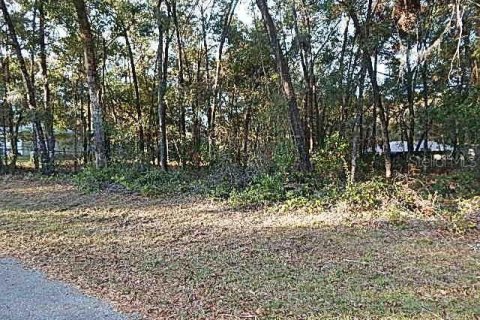 Land in Inverness, Florida № 2391508