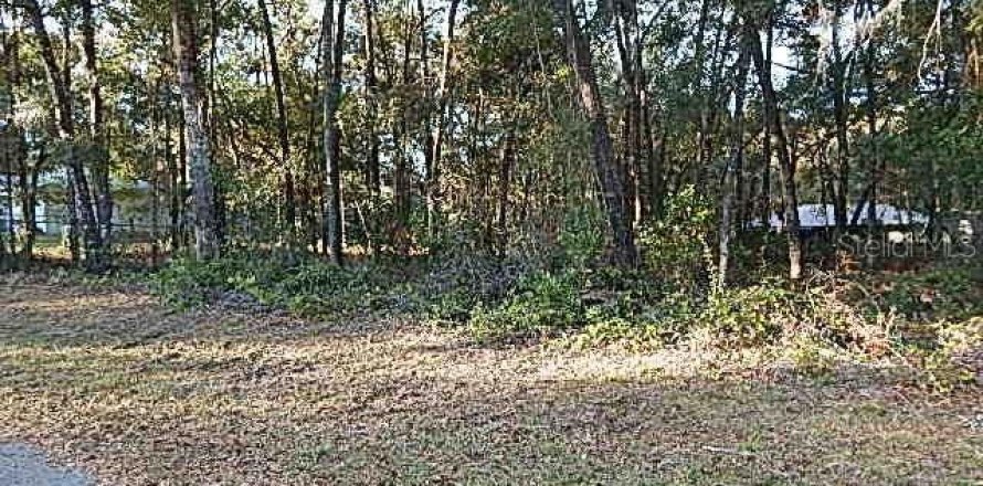 Land in Inverness, Florida № 2391508