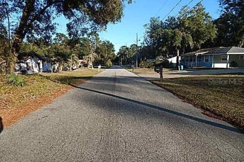 Land in Inverness, Florida № 2391508 - photo 2