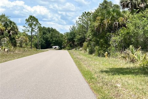Land in Port Charlotte, Florida № 2104338 - photo 3