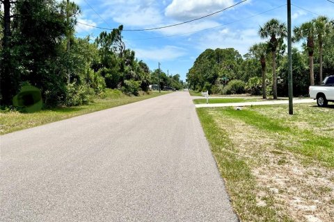 Land in Port Charlotte, Florida № 2104338 - photo 2