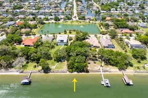 Land in Palm Coast, Florida № 2403285 - photo 24