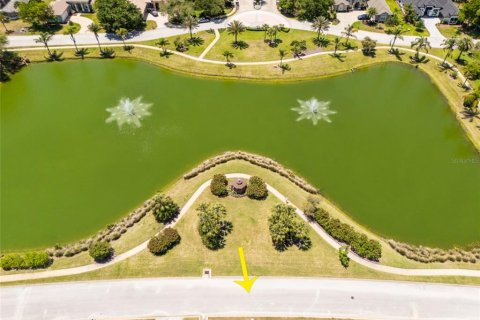 Land in Palm Coast, Florida № 2403285 - photo 20