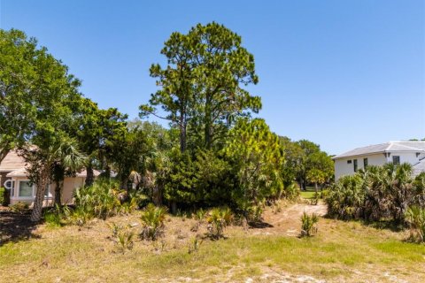 Land in Palm Coast, Florida № 2403285 - photo 3