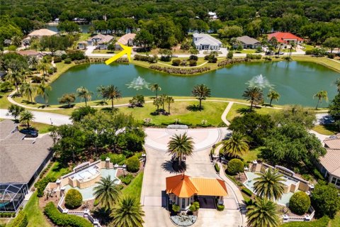 Land in Palm Coast, Florida № 2403285 - photo 4