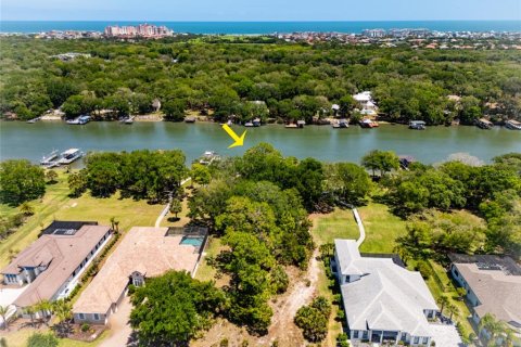 Land in Palm Coast, Florida № 2403285 - photo 7