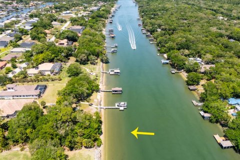 Land in Palm Coast, Florida № 2403285