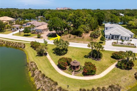 Land in Palm Coast, Florida № 2403285 - photo 13