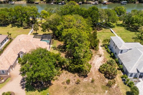 Land in Palm Coast, Florida № 2403285 - photo 23