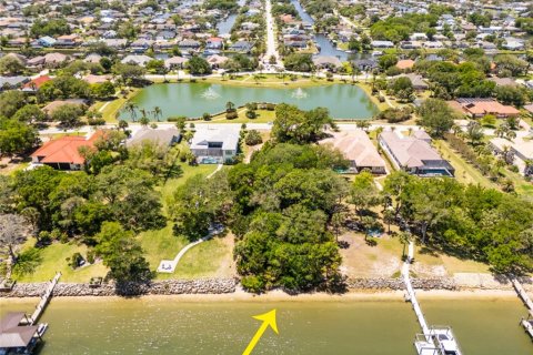 Land in Palm Coast, Florida № 2403285 - photo 8