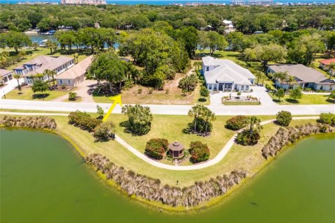 Land in Palm Coast, Florida № 2403285 - photo 14