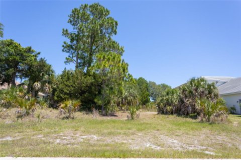 Land in Palm Coast, Florida № 2403285 - photo 17