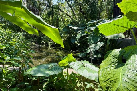 Casa en alquiler en Tampa, Florida, 2 dormitorios, 80.27 m2 № 1906104 - foto 11