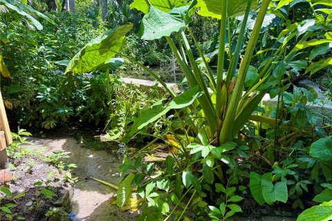 Casa en alquiler en Tampa, Florida, 2 dormitorios, 80.27 m2 № 1906104 - foto 12