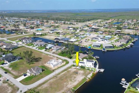 Land in Cape Coral, Florida № 1918449 - photo 3