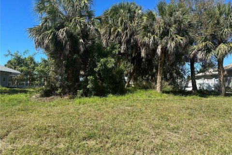 Terreno en venta en Rotonda, Florida № 1446248 - foto 2