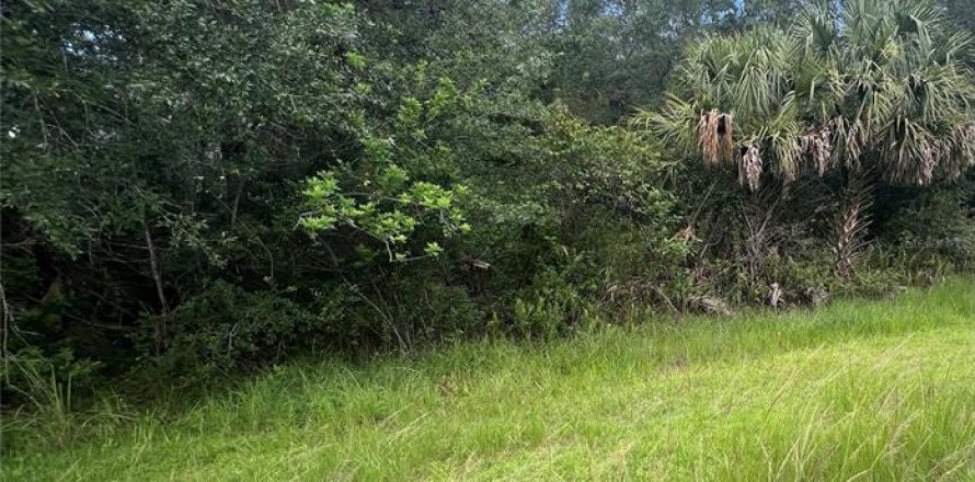 Land in Orlando, Florida № 1803943