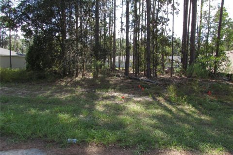 Land in Citrus Springs, Florida № 1395643 - photo 2