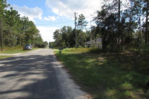 Land in Citrus Springs, Florida № 1395643 - photo 4