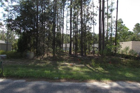 Land in Citrus Springs, Florida № 1395643 - photo 6