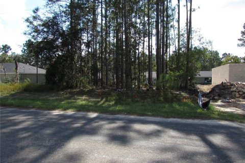 Land in Citrus Springs, Florida № 1395643 - photo 5