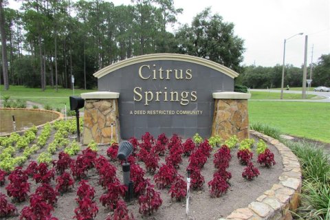 Land in Citrus Springs, Florida № 1395643 - photo 8