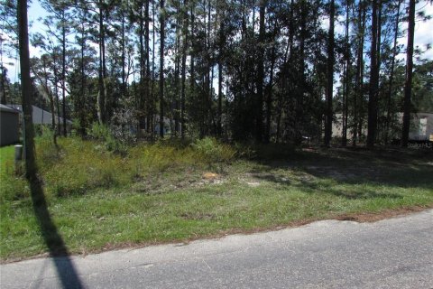 Land in Citrus Springs, Florida № 1395643 - photo 1