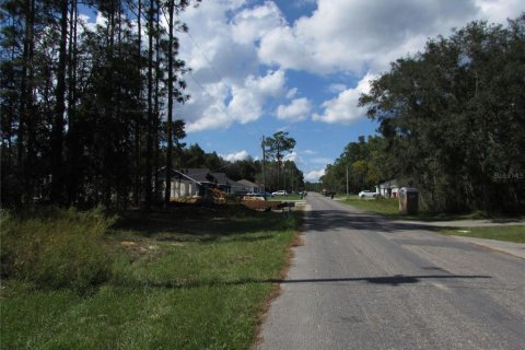 Land in Citrus Springs, Florida № 1395643 - photo 7