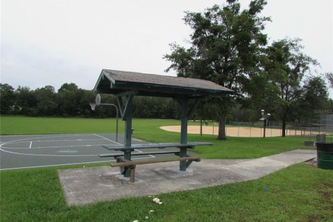 Land in Citrus Springs, Florida № 1395643 - photo 11