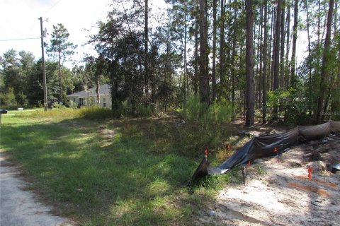 Land in Citrus Springs, Florida № 1395643 - photo 3