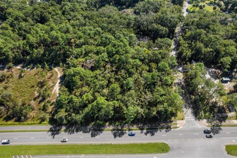 Land in Lecanto, Florida № 2420230 - photo 6