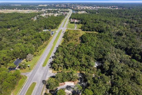 Land in Lecanto, Florida № 2420230 - photo 21