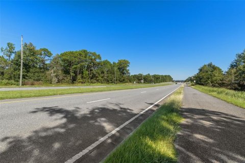 Land in Lecanto, Florida № 2420230 - photo 25