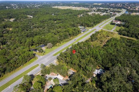 Land in Lecanto, Florida № 2420230 - photo 19